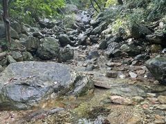 -北仑森林植物园