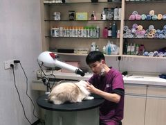 -宠颐生动物医院·小陆分院