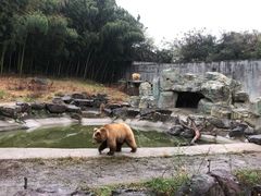 -宁波野生动物园
