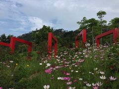 -厦门国家会计学院
