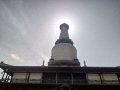 -张掖大佛寺景区