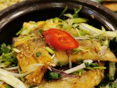 煲仔焗海鲈鱼-六婶西关小厨(光塔路店)