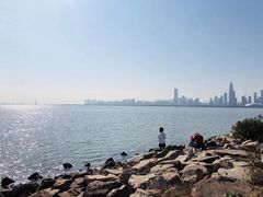 -宝安西湾红树林湿地公园