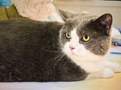 -悠尼宠物·独立低压伊珊娜洗护·美容·寄养(兰谷路店)