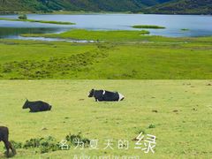 -普达措国家公园