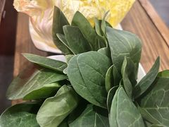 -井格重庆火锅(西直门凯德Mall店)