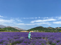 -西海岸生态观光园