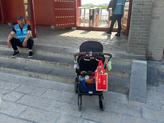 -白洋淀景区