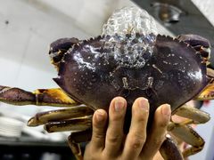 -范饭椰林川湘味海鲜·椰子鸡(三亚湾椰梦长廊店)