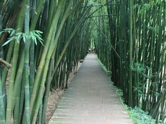 -四洞沟景区