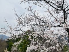 -北京金海湖景区