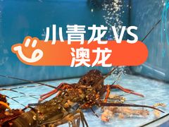 -city'super超·生活(国金中心商场店)