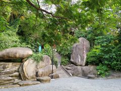 -仙岳公园