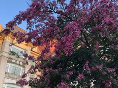 -中旅阿那亚九龙湖·公主酒店