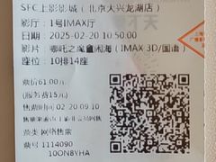-SFC上影影城(北京大兴龙湖天街IMAX店)