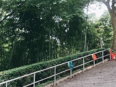 -上海佘山国家森林公园西佘山园