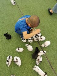 -萌宠亲子动物乐园(槐房万达店)