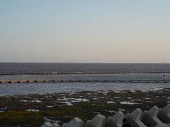 -南汇嘴观海公园