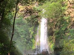 -莫里热带雨林景区