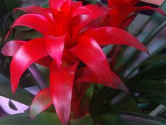 -南京大牌档(凯德大峡谷店)