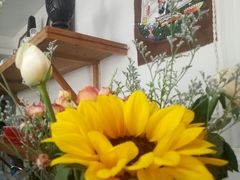 -参差咖啡(水果湖公园店)