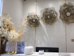 -YESIDO椰岛造型