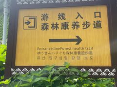 -罗田薄刀峰风景区