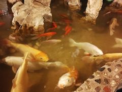 -多哥水·西双版纳传统傣味·昆明土著私藏云南菜(司马巷店)