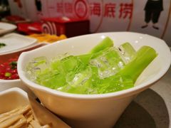 青笋-海底捞火锅(老城根店)