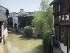 -真真老老(月河花鸟市场店)