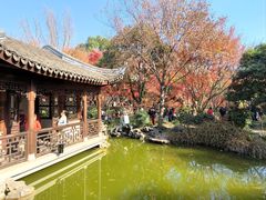 -秋霞圃