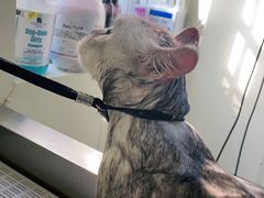 -宠颐生动物医院·小陆分院