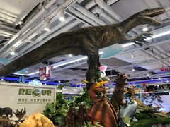 -TOYSRUS玩具反斗城(上海万象城店)
