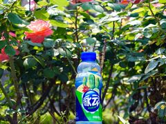 -同济大学-北苑食堂