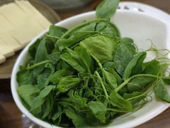 豌豆尖-苗姑酒堂(仁义社区店)