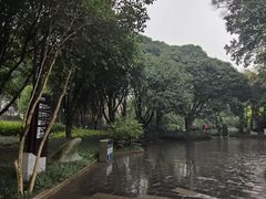 -柳侯公园