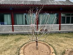 -北京市劳动人民文化宫(太庙)