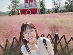 -羊亭河湿地公园