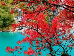 -叠溪松坪沟景区