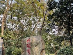 -北极阁公园