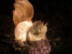 -昆山城市生态森林公园