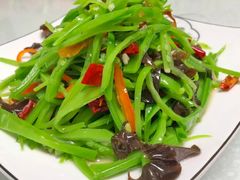-秦扬居特色菜馆(上王村)