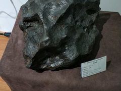 -志强陨石馆(双季花艺店)