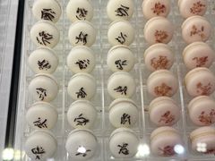 -BLACKSWAN黑天鹅(环球店)