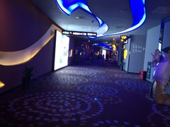 -万达影城(汉街万达广场IMAX店)