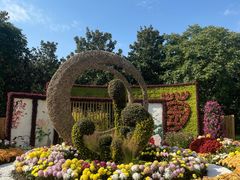 -上海共青森林公园