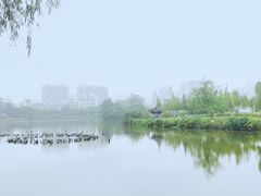 -眉山湿地公园(东坡区)