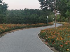 -东郊湿地公园