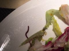 尼斯沙拉吃出这么长一条蚯蚓-半秋山西餐厅(宜昌大洋店)