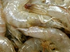 -百顺德海鲜自助(兴海名都广场店)